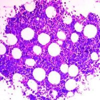 Diagnostic Biosystems