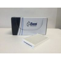Enzo Life Sciences
