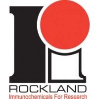Rockland Immunochemicals