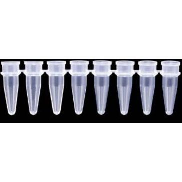 Axygen Pcr Tube Strips And Cap Strips Axygen Scientific Pcr 08cpc Strips Of Eight Tubes And Caps Free S H Pcr 08cpc Cs Pcr 08cpc Pk Axygen Centrifuges