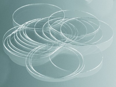12 mm Diameter Pack of 1000 Circle Azer Scientific 200121 Borosilicate Glass Round Cover Glass No.1 Size
